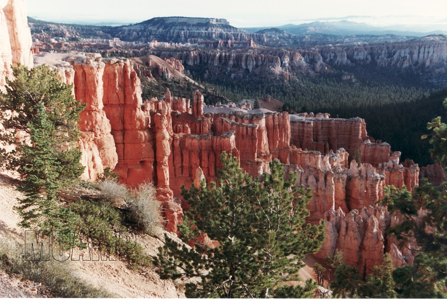 Bryce Canyon National Park 1992